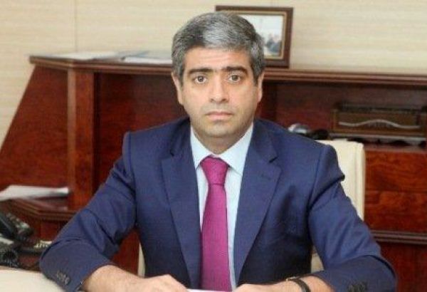 Nazir müavini: 2019-cu ildə 34 Yanvar şəhidinin ailəsi mənzillə təmin olunub