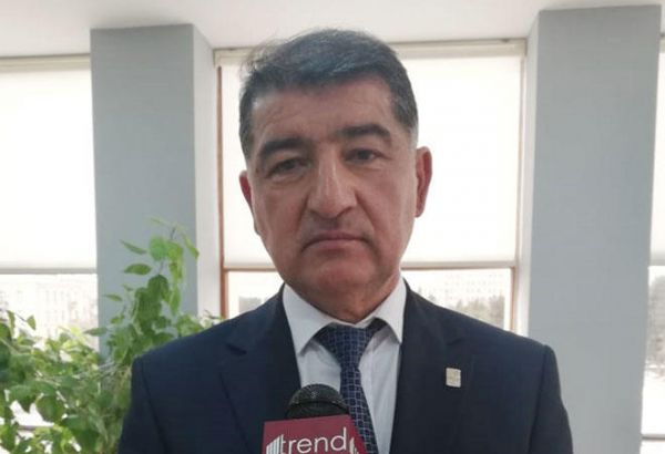 Nazir müavini: Yaşıllaşdırma işlərinin aparılmasında cəmiyyət bizə dəstək olsun