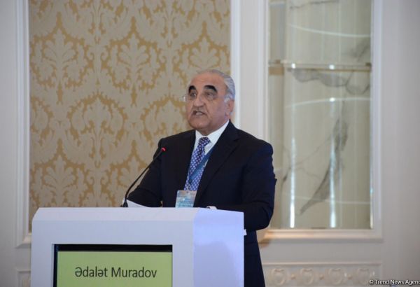 Azərbaycan iqtisadiyyatın rəqəmsal transformasiyasında yüksək fəallıq nümayiş etdirir