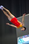 Bakıda batut gimnastikası və tamblinq üzrə Dünya Kubokunda final yarışları davam edir (FOTOREPORTAJ)