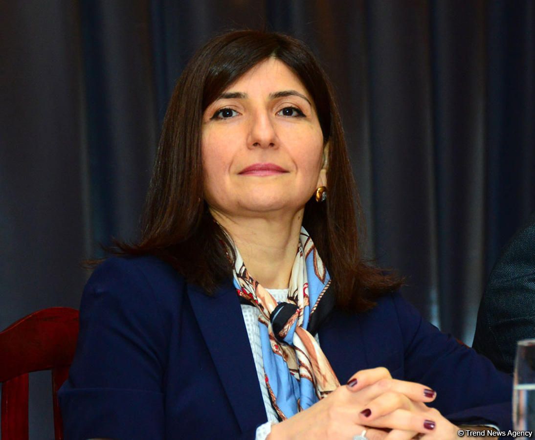 Sevil Mikayılova: Ermənistan  işğalçı ölkə kimi heç bir zaman dəstək almayıb və almayacaq