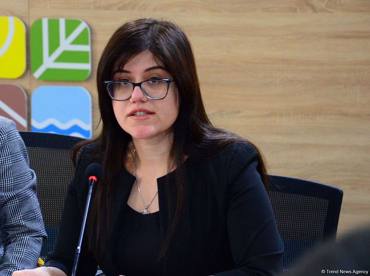 Xəzəryanı dövlətlərin könüllü fəaliyyətinin təcrübələri müzakirə edilir (FOTO)