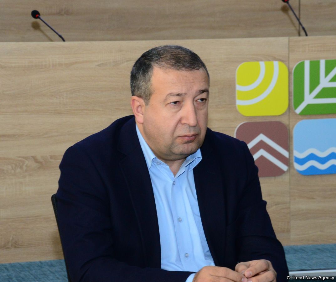 Xəzəryanı dövlətlərin könüllü fəaliyyətinin təcrübələri müzakirə edilir (FOTO)