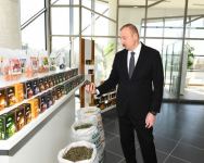 Prezident İlham Əliyev Tovuzda “ASAN Həyat” kompleksinin açılış mərasimində iştirak edib (FOTO) (YENİLƏNİB-2)