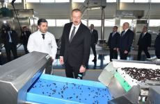 Prezident İlham Əliyev Tovuzda “ASAN Həyat” kompleksinin açılış mərasimində iştirak edib (FOTO) (YENİLƏNİB-2)