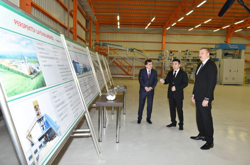 Prezident İlham Əliyev Qazaxda əhəng zavodunun açılışında iştirak edib (FOTO/VİDEO) (YENİLƏNİB)