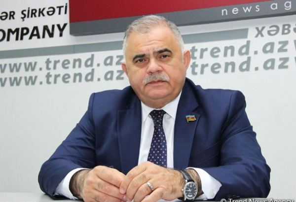 Avropa özü də erməni əsilli radikallardan canını qurtarmaq istəyir - Arzu Nağıyev
