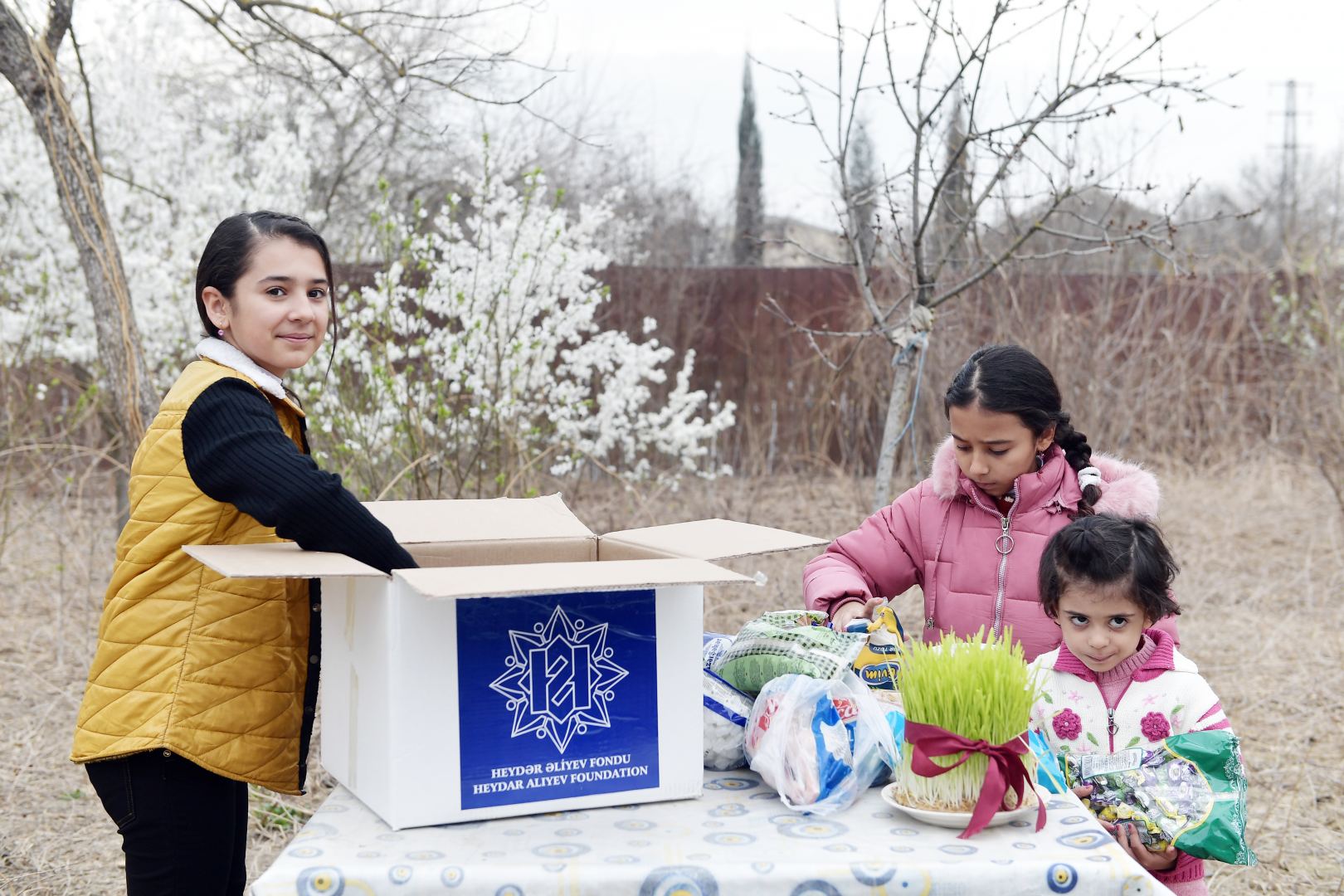 Heydər Əliyev Fondu ünvanlı sosial yardım alan ailələrə Novruz sovqatları paylayıb (FOTO)