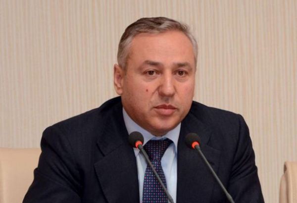 Nəsib Məhəməliyev: Pandemiyadan əziyyət çəkən biznes strukturları, sahibkarlıq subyektlərinə dövlət tərəfindən mühüm dəstək göstərilir