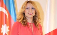 Parisdəki Azərbaycan Evinin rəhbəri Dağlıq Qarabağ münaqişəsi ilə bağlı “Sputnik Frans” a müsahibə verib