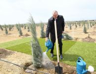 Prezident İlham Əliyev və birinci xanım Mehriban Əliyeva ulu öndər Heydər Əliyevin doğum günü münasibətilə ağac əkiblər (FOTO)