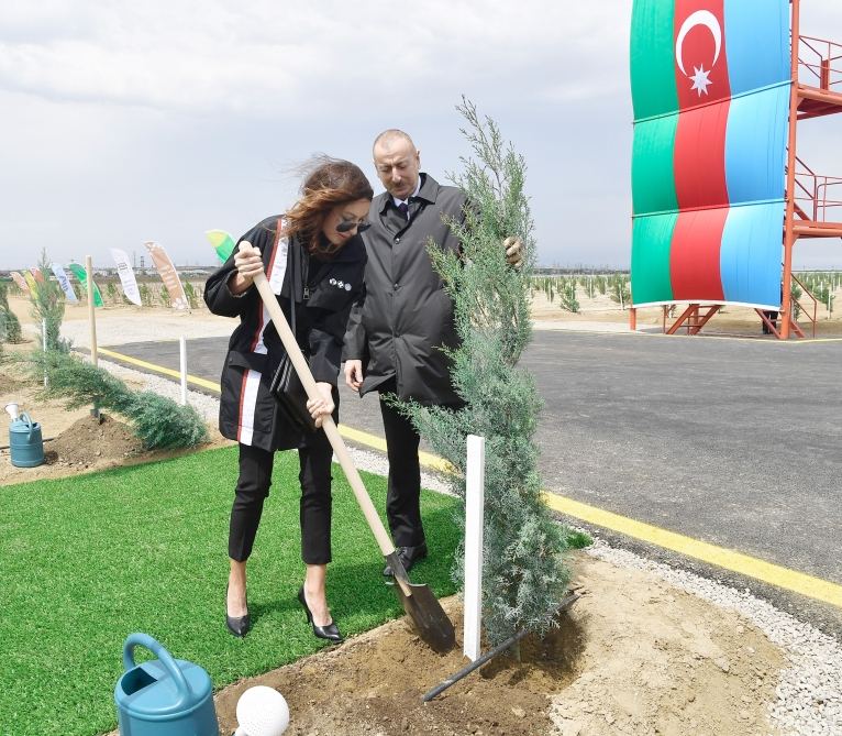 Prezident İlham Əliyev və birinci xanım Mehriban Əliyeva ulu öndər Heydər Əliyevin doğum günü münasibətilə ağac əkiblər (FOTO)