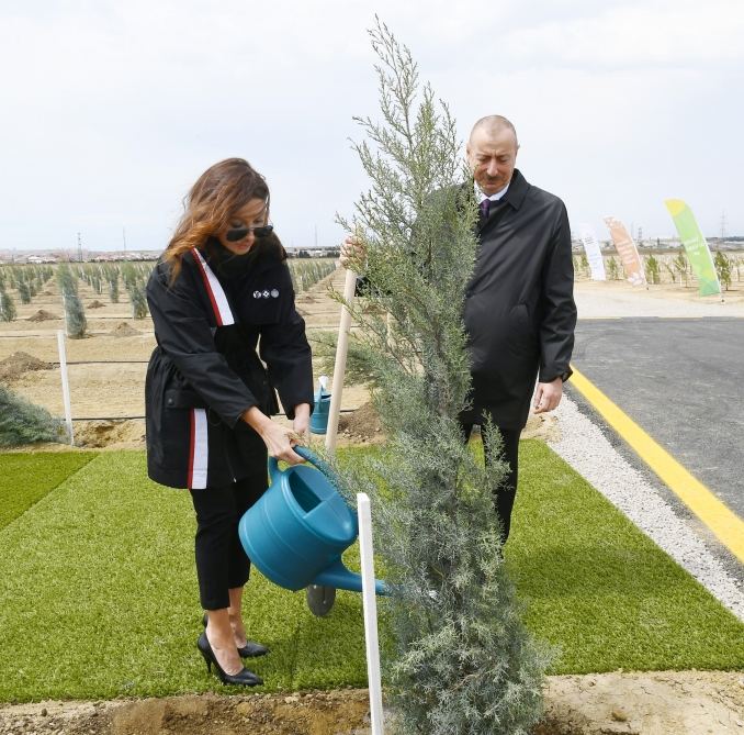 Prezident İlham Əliyev və birinci xanım Mehriban Əliyeva ulu öndər Heydər Əliyevin doğum günü münasibətilə ağac əkiblər (FOTO)