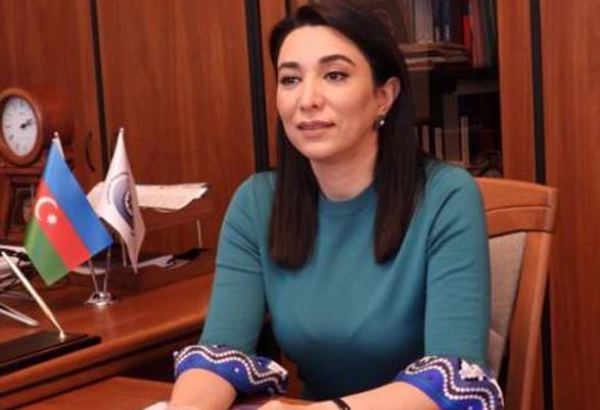 Ombudsman Dağlıq Qarabağda qeyri-qanuni “seçkilər”lə bağlı bəyanat yayıb