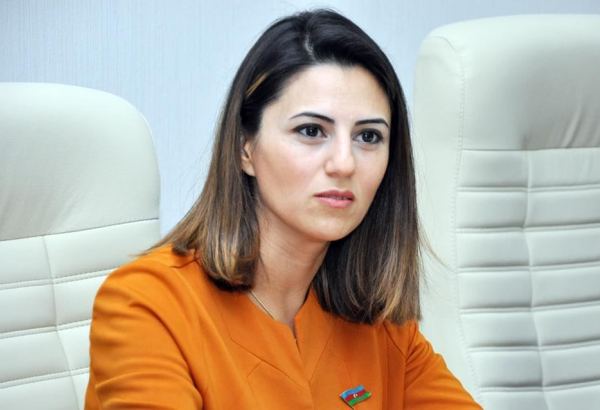 Sevinc Fətəliyeva: Azərbaycanın dünya birliyində mövqeyi daha da möhkəmlənib, əlaqələri xeyli genişlənib