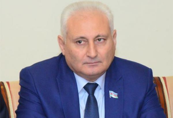 Deputat Hikmət Babaoğlu BDU-nun əməkdaşları və magistrantları ilə onlayn görüş keçirib