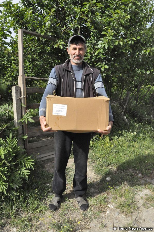 Sevil Mikayılova aztəminatlı ailələrə və tənha yaşayan şəxslərə ərzaq yardımı edib (FOTO)