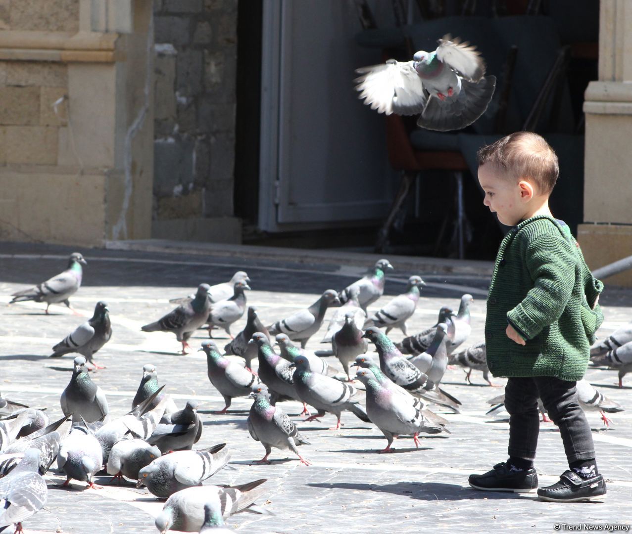 “Tarqovı” karantin yumşalandan sonra - FOTO