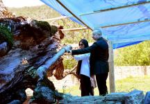 Prezident İlham Əliyev və birinci xanım Mehriban Əliyeva Şamaxıda Pir Ömər Sultan ziyarətgahında bərpa-konservasiya işləri ilə tanış olublar (FOTO/VİDEO) (YENİLƏNİB)