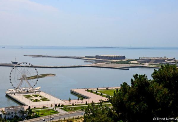 Azərbaycanda pandemiya dövründə istehsalı artan və azalan məhsullar