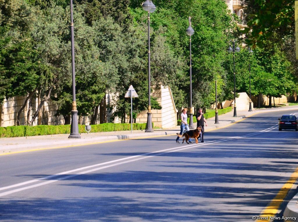 Paytaxtda küçə və yollarda son vəziyyət (FOTO)