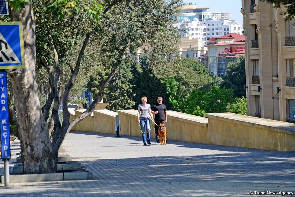 Paytaxtda küçə və yollarda son vəziyyət (FOTO)