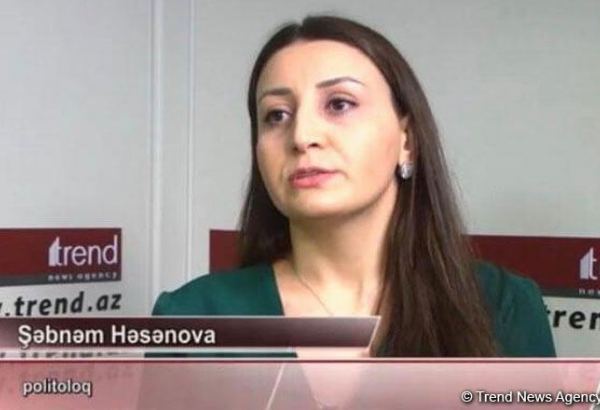 Şəbnəm Həsənova: Paşinyan növbəti dəfə kloun vəziyyətinə düşdü, özünü rüsvay etdi