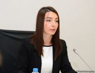 Hikmət Hacıyev: Bu təxribat təsadüfi deyil və əvvəldən planlaşdırılmış bir təxribat idi (FOTO)
