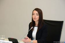 Hikmət Hacıyev: Bu təxribat təsadüfi deyil və əvvəldən planlaşdırılmış bir təxribat idi (FOTO)