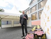Prezident İlham Əliyev Balakəndə “Bal meyvə” bağçılıq təsərrüfatı ilə tanış olub (FOTO) (YENİLƏNİB)
