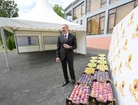 Prezident İlham Əliyev Balakəndə “Bal meyvə” bağçılıq təsərrüfatı ilə tanış olub (FOTO) (YENİLƏNİB)