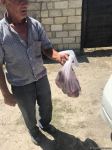 Deputat Sevil Mikayılovanın təşəbbüsü ilə Xudat sakinlərinə Qurban  sovqatları paylanılıb (FOTO)