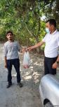 Deputat Sevil Mikayılovanın təşəbbüsü ilə Xudat sakinlərinə Qurban  sovqatları paylanılıb (FOTO)