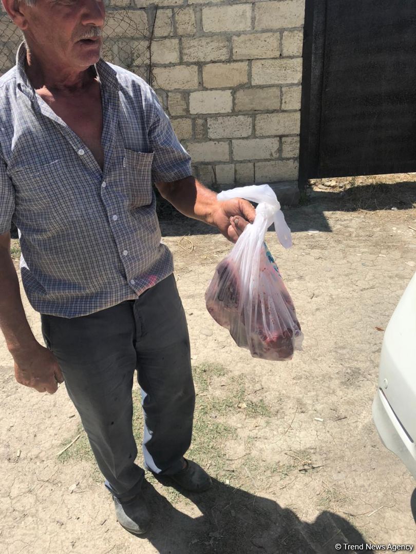 Deputat Sevil Mikayılovanın təşəbbüsü ilə Xudat sakinlərinə Qurban  sovqatları paylanılıb (FOTO)