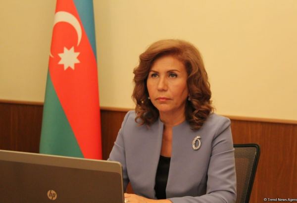 Sığınacaqların sayı tələbata uyğun gəlmir - Bahar Muradova