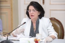 Bir qrup tanınmış mədəniyyət və incəsənət xadimi ilə görüş keçirilib (FOTO)