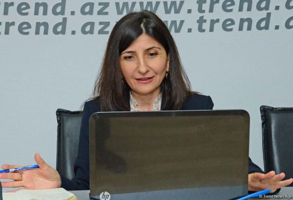Milli Məclisin deputatı Sevil Mikayılova seçiciləri ilə onlayn qəbul keçirib (FOTO)