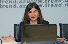 Milli Məclisin deputatı Sevil Mikayılova seçiciləri ilə onlayn qəbul keçirib (FOTO)