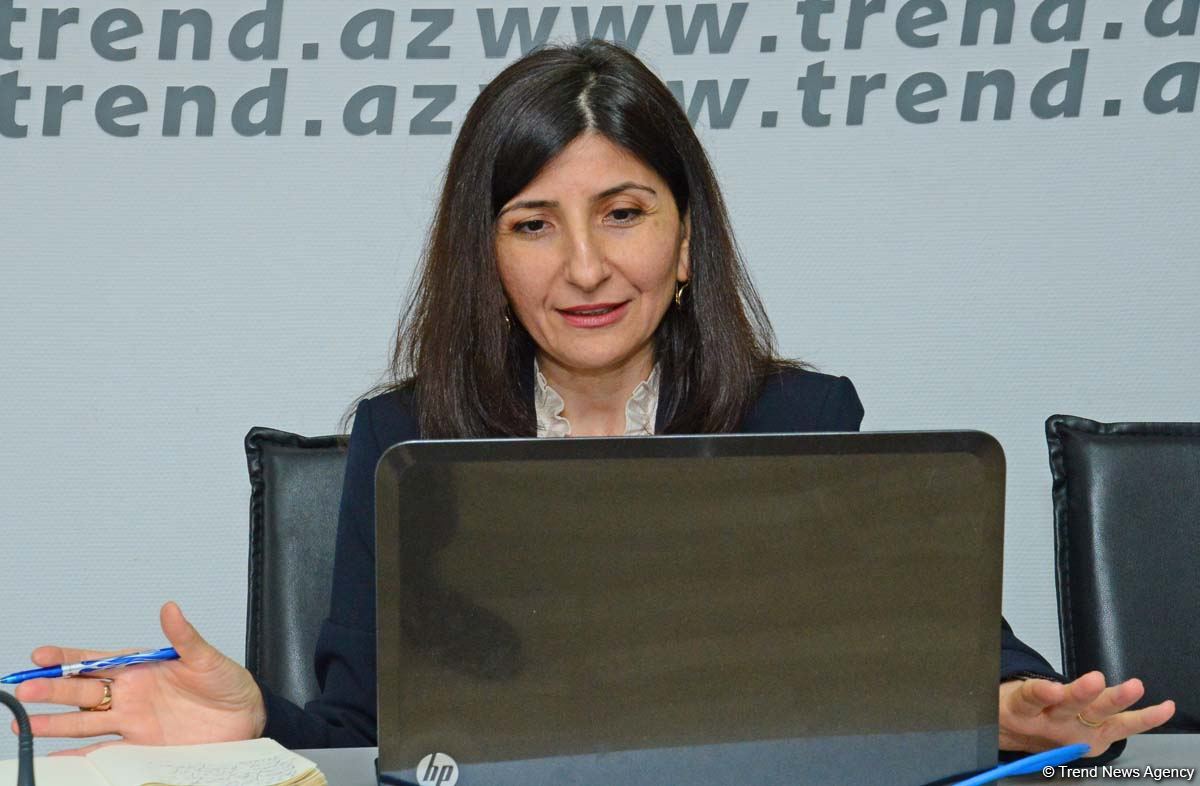 Milli Məclisin deputatı Sevil Mikayılova seçiciləri ilə onlayn qəbul keçirib (FOTO)