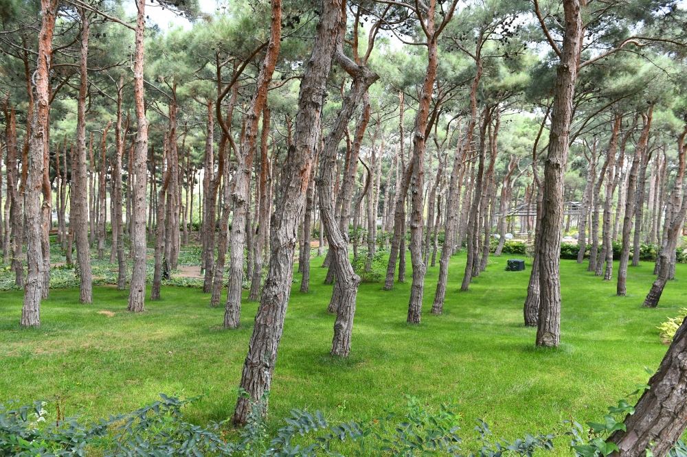 Prezident İlham Əliyev və birinci xanım Mehriban Əliyeva ADA Universitetinin iki yeni korpusunun açılışında iştirak ediblər (FOTO) (YENİLƏNİB-2)