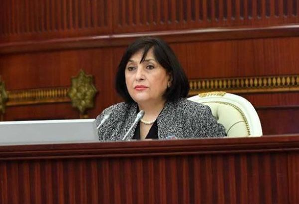 Sahibə Qafarova Monteneqro Parlamentinin sədrinə başsağlığı məktubu ünvanlayıb
