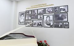 Birinci vitse-prezident Mehriban Əliyeva Bülbülə qəsəbəsindəki Uşaq İncəsənət Məktəbinin yeni binasının açılışında iştirak edib (FOTO)