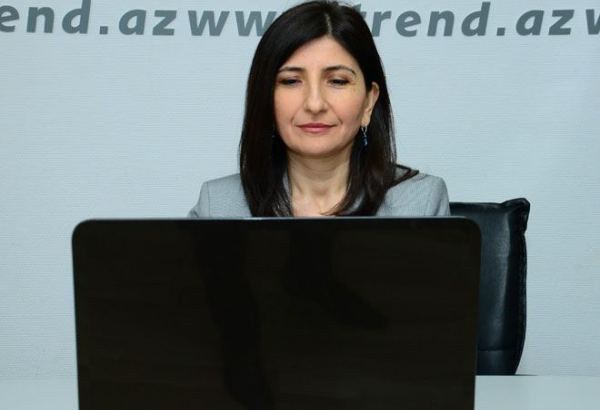 Milli Məclisin deputatı Sevil Mikayılova seçiciləri ilə növbəti onlayn qəbul keçirib (FOTO)