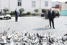 Prezident İlham Əliyev və birinci xanım Mehriban Əliyeva Balaxanı qəsəbəsində aparılan abadlıq işləri ilə tanış olublar (FOTO) (YENİLƏNİB-2)