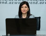 Milli Məclisin deputatı Sevil Mikayılova seçiciləri ilə növbəti onlayn qəbul keçirib (FOTO)