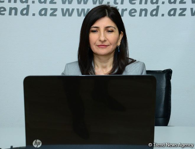 Milli Məclisin deputatı Sevil Mikayılova seçiciləri ilə növbəti onlayn qəbul keçirib (FOTO)
