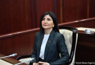 Tarixin saxtalaşdırılması nə sülhə, nə təhlükəsizliyə, nə də barışığa xidmət edir - Sevil Mikayılova