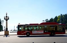 Üçrəngli bayrağımıza bürünmüş Bakı (FOTOSESSİYA)