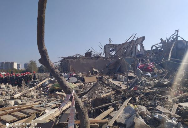 Latviyalı deputat ermənilərin Gəncədə törətdiyi terror aktını qəti şəkildə pisləyir