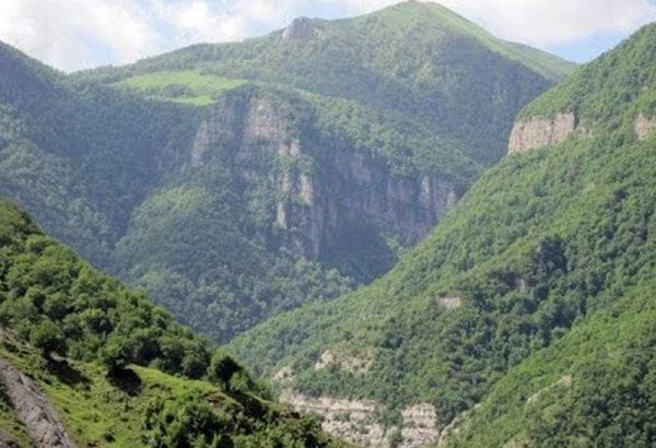 İşğal olunmuş ərazilərdə 260 min hektar unikal meşə sahələri vəhşicəsinə istismar olunub